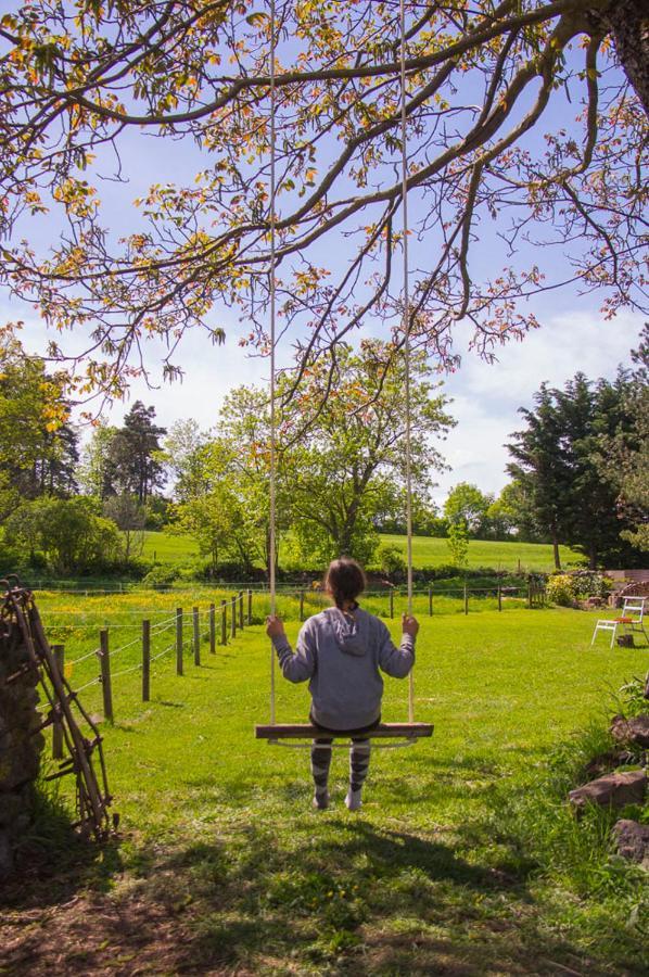 Domaine De Bauzit Bed & Breakfast Vals-pres-le-Puy Ngoại thất bức ảnh